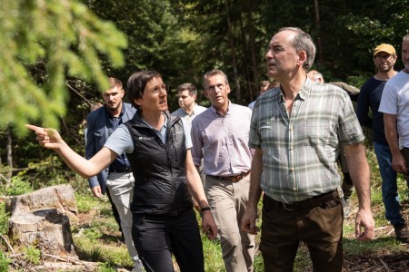 Aiwanger: Borkenk&auml;fer im Bayerischen Wald deutlich zur&uuml;ckgedr&auml;ngt