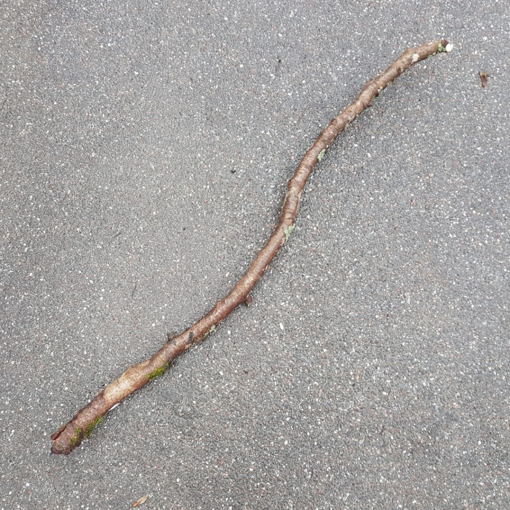 Aus bayerischen Polizeiberichten | Regensburg: Eritreer geht mit größerem Ast auf Tankstellensicherheitsdienst los