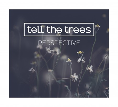 CD-Kritik | Tell The Trees – Perspective