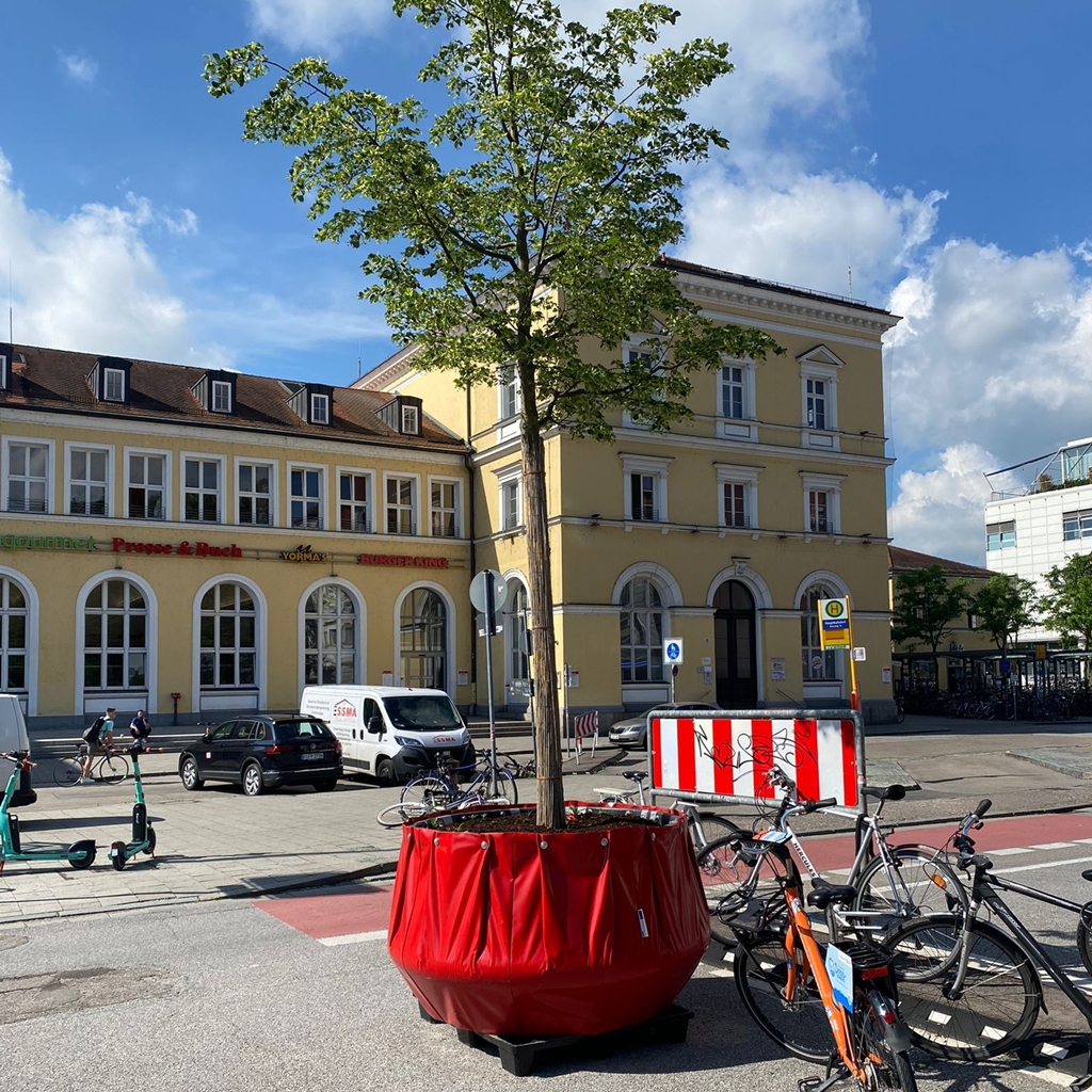 Nachgefragt | Steinwüste Regensburg – wo sind die Bäume?