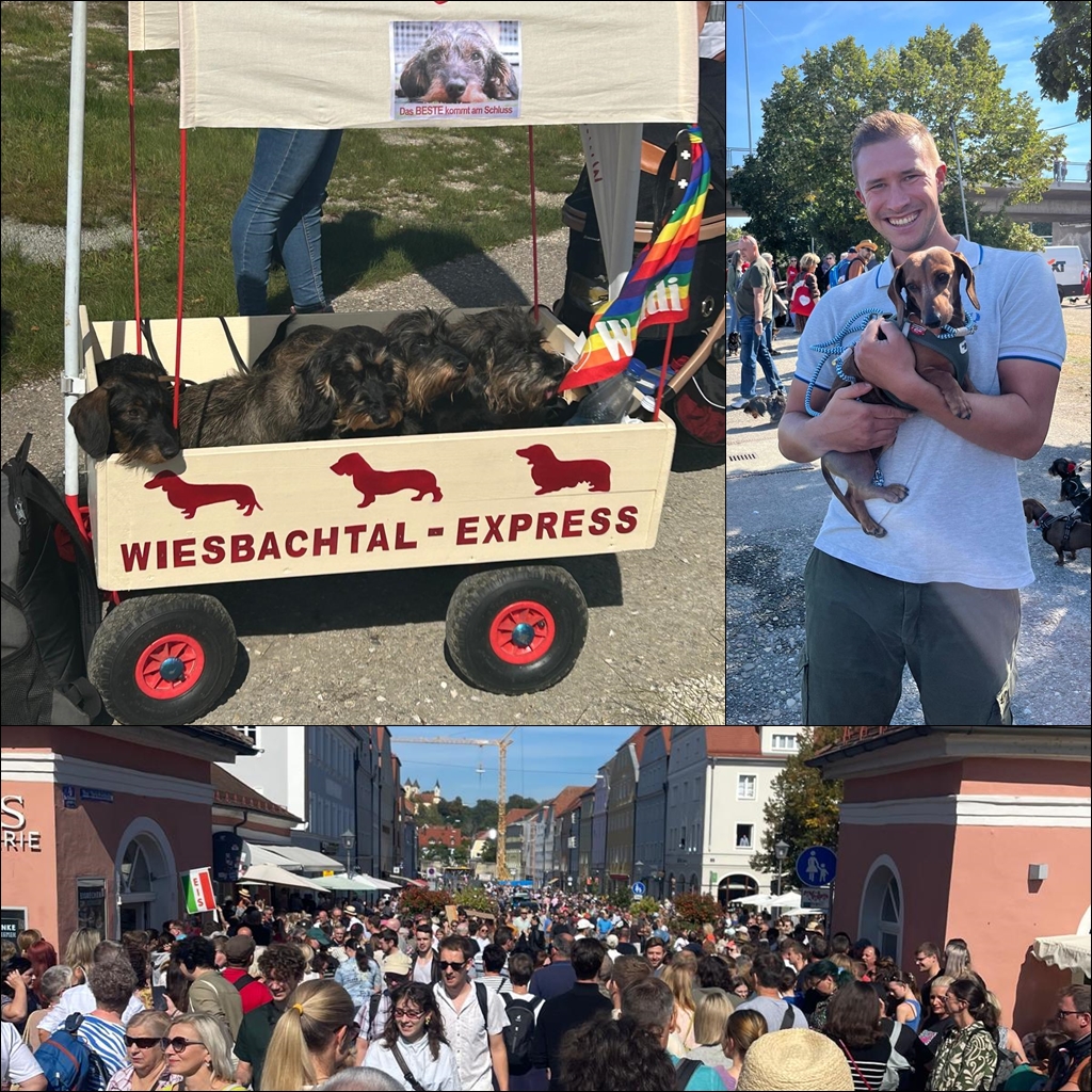 Weltrekordversuch Regensburger Dackelparade