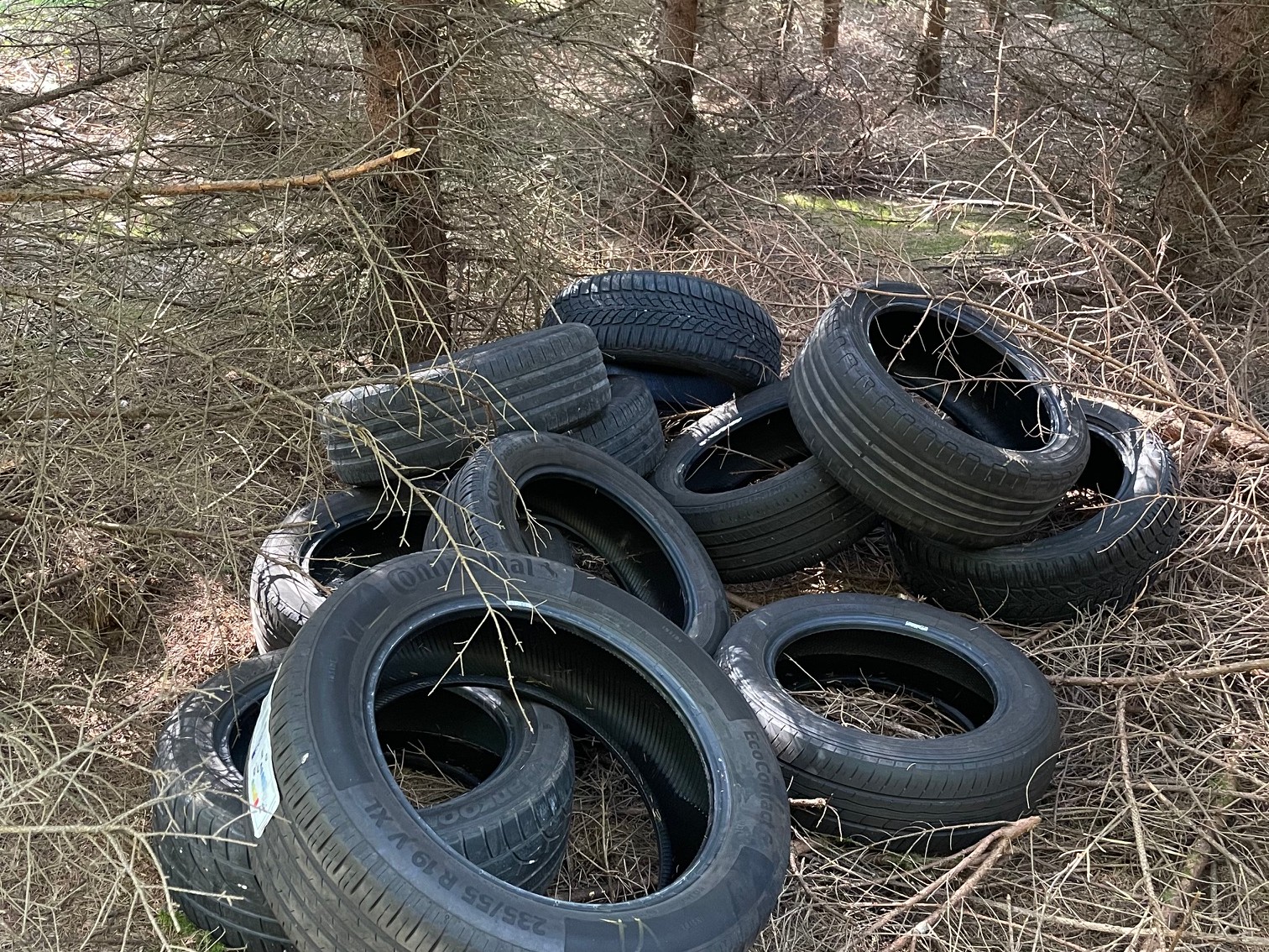 Nachgefragt: Illegale Reifendeponie im Wald bei Seedorf