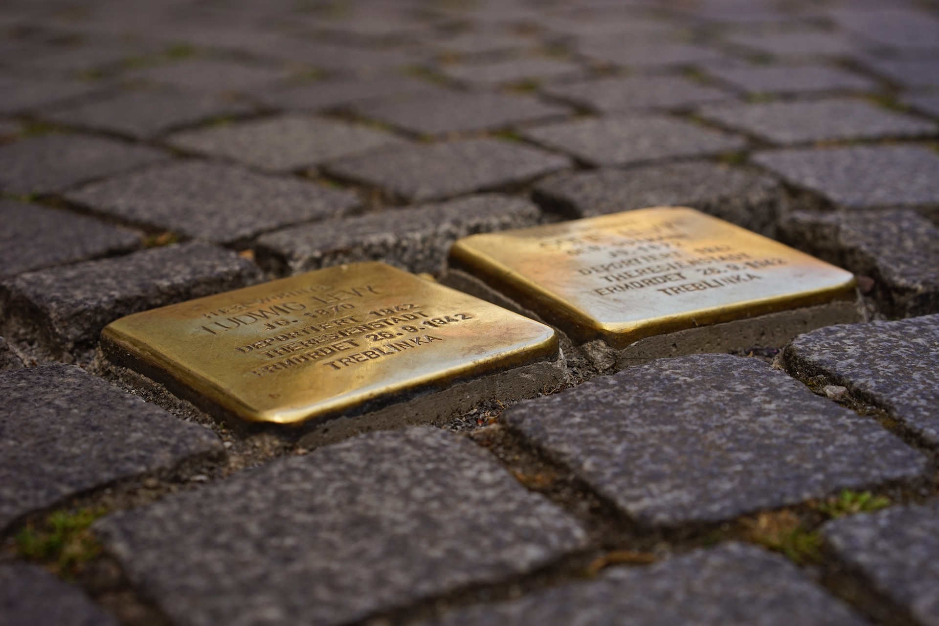 Aus bayerischen Polizeiberichten | Regensburg: Stolpersteine beschmiert