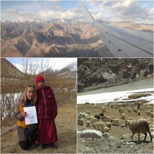 Nachgefragt | Susanne Mic: Naturliebhaberin im Himalaya